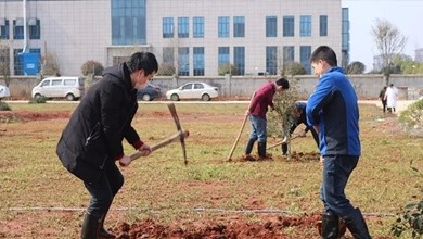  植樹節(jié)｜我為中普家園添新綠